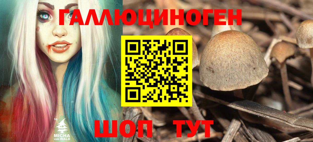 Псилоцибиновые грибы GOLDEN TEACHER  Вход с VPN  где можно купить   Армавир  Псилоцибиновые грибы Psilocybine cubensis 