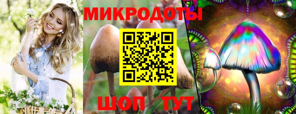 Псилоцибиновые грибы прущие грибы Армавир